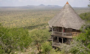 5 Days Ngutuni, Amboseli ,Tsavo west, lons bluff
